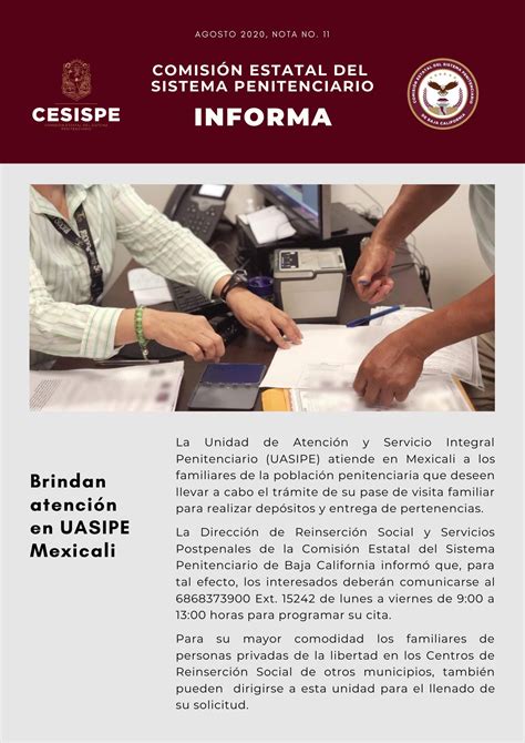 uasipe tijuana